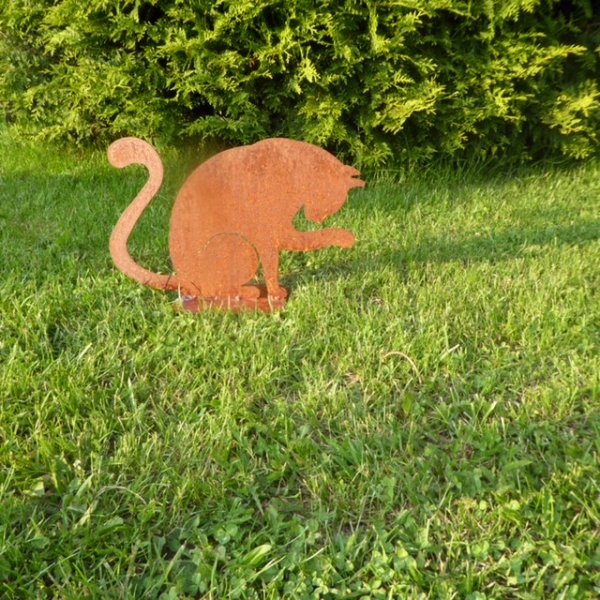 Katze sich putzend auf Platte